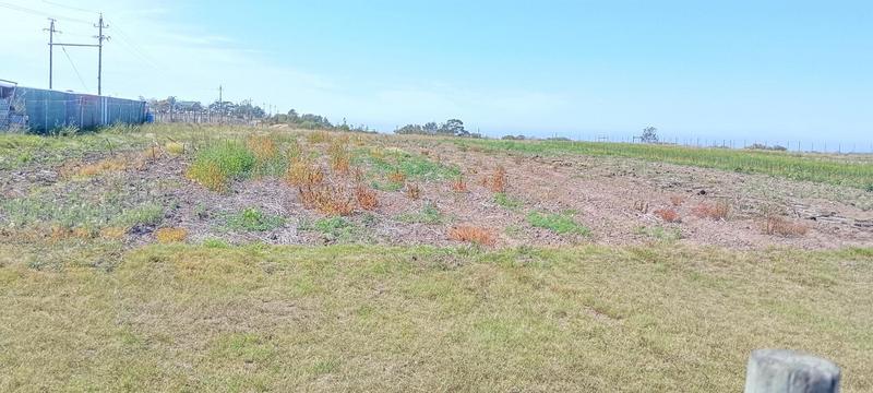 0 Bedroom Property for Sale in Groot Brakrivier Rural Western Cape